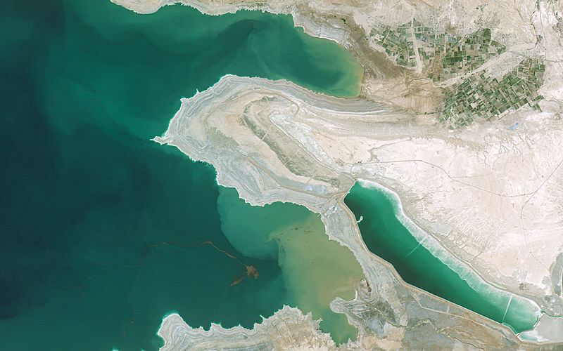 Tubarões do Mar Morto: vários fatos sobre isso
